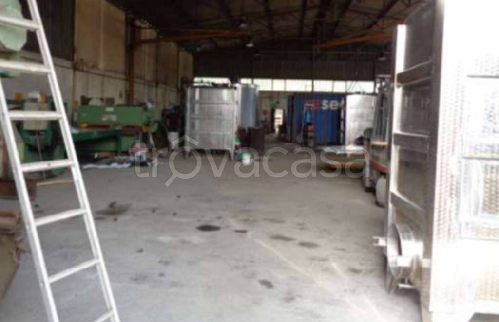 immagine annuncio 9 di 11