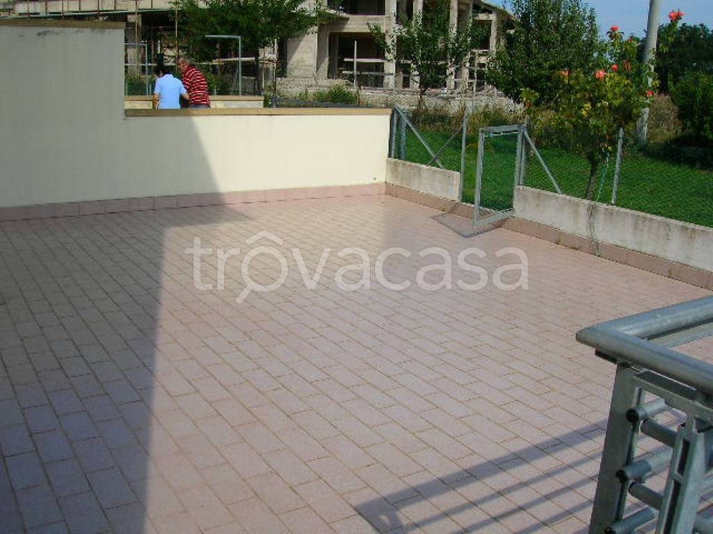 immagine annuncio 2 di 13