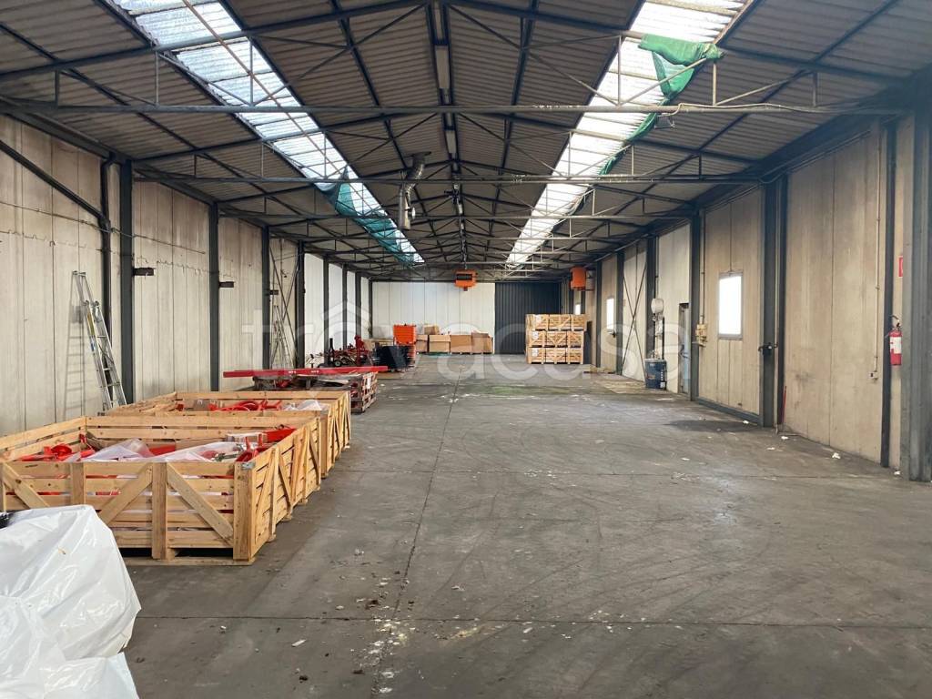 immagine annuncio 4 di 15