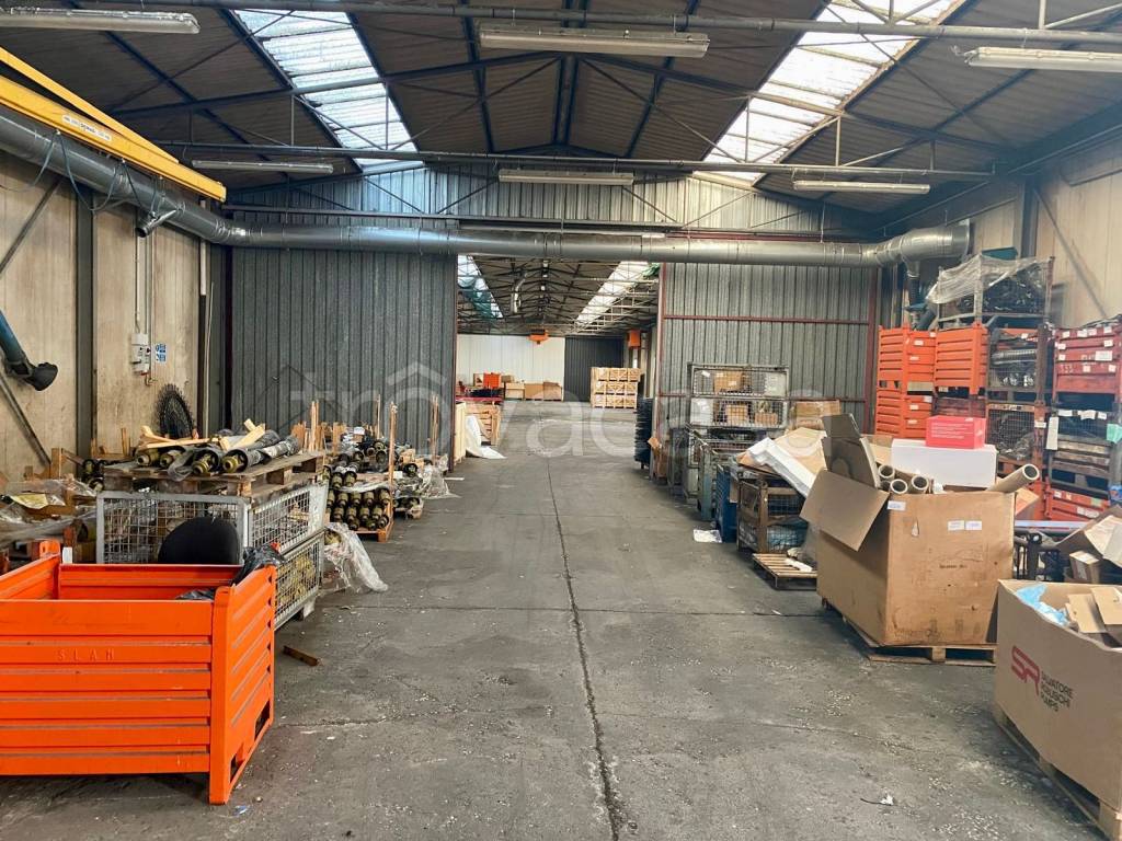 immagine annuncio 9 di 15