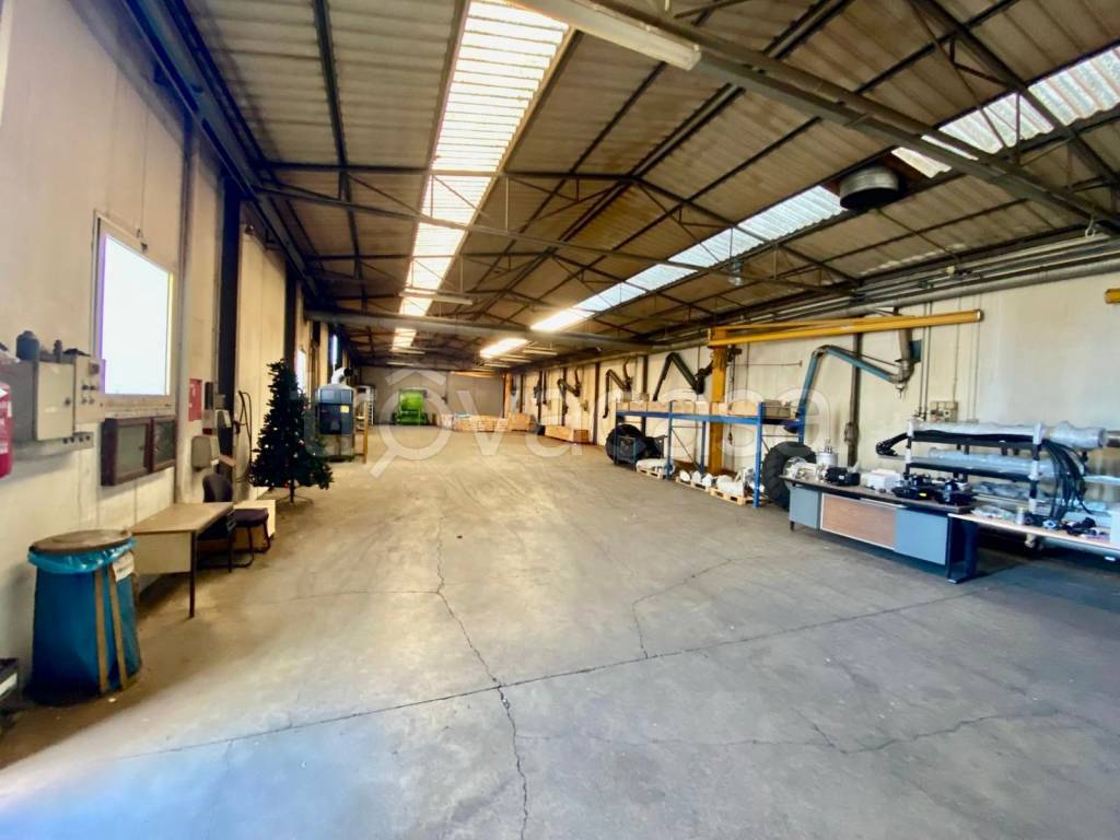 immagine annuncio 5 di 15