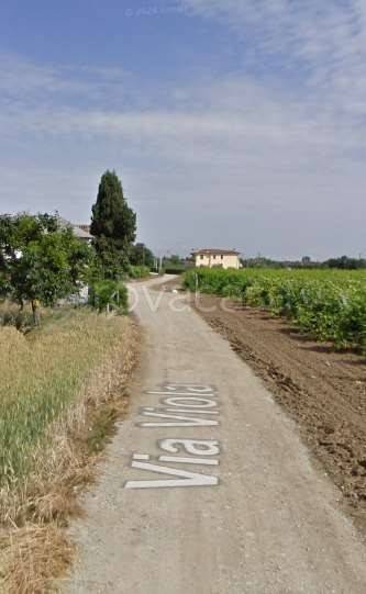 immagine annuncio 4 di 8