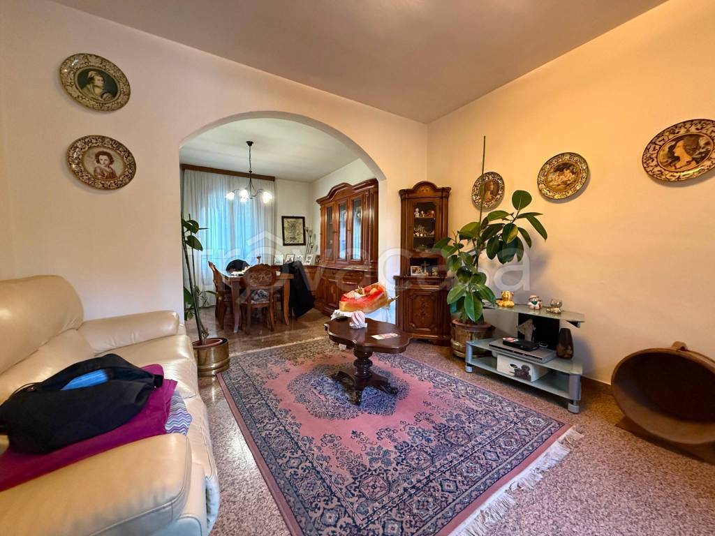 immagine annuncio 3 di 14