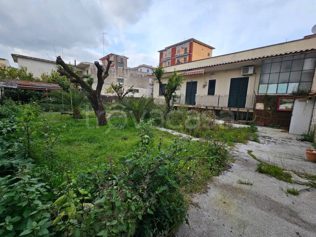 immagine annuncio 3 di 11