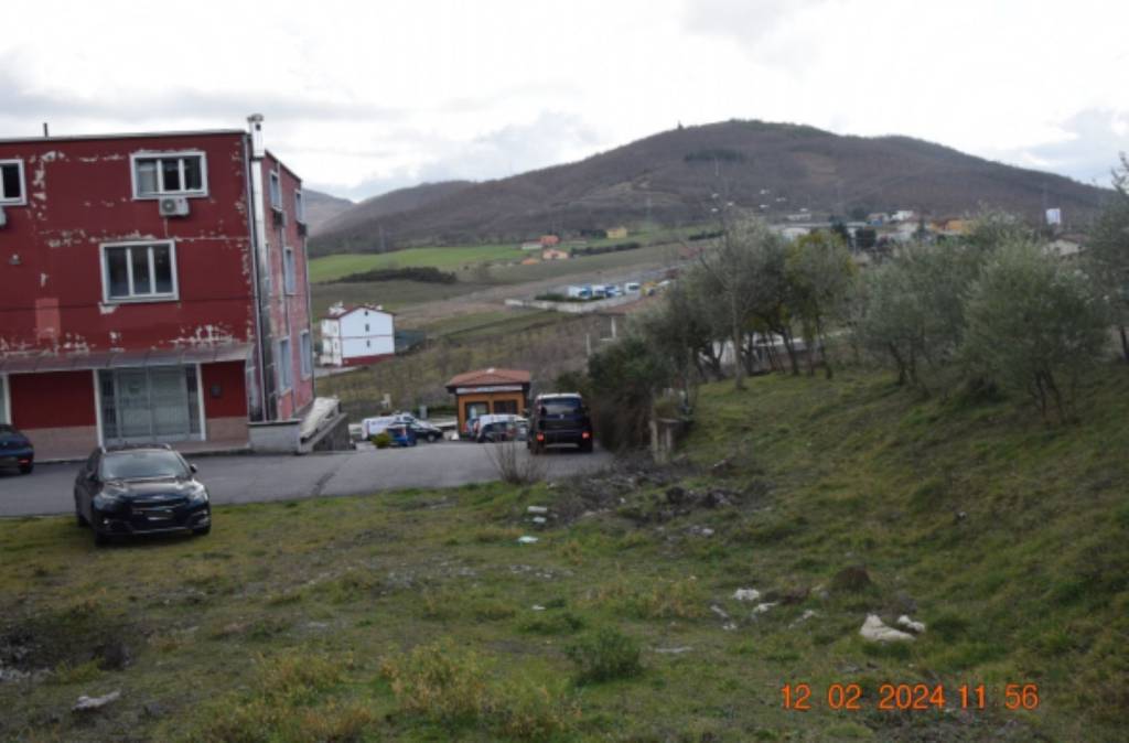 immagine annuncio 3 di 11