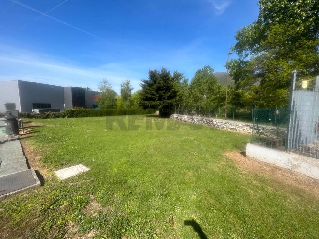 immagine annuncio 9 di 10