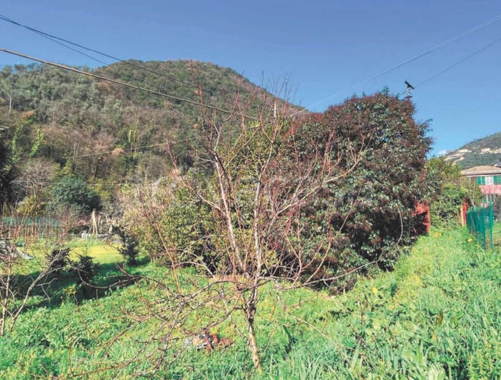 immagine annuncio 6 di 9