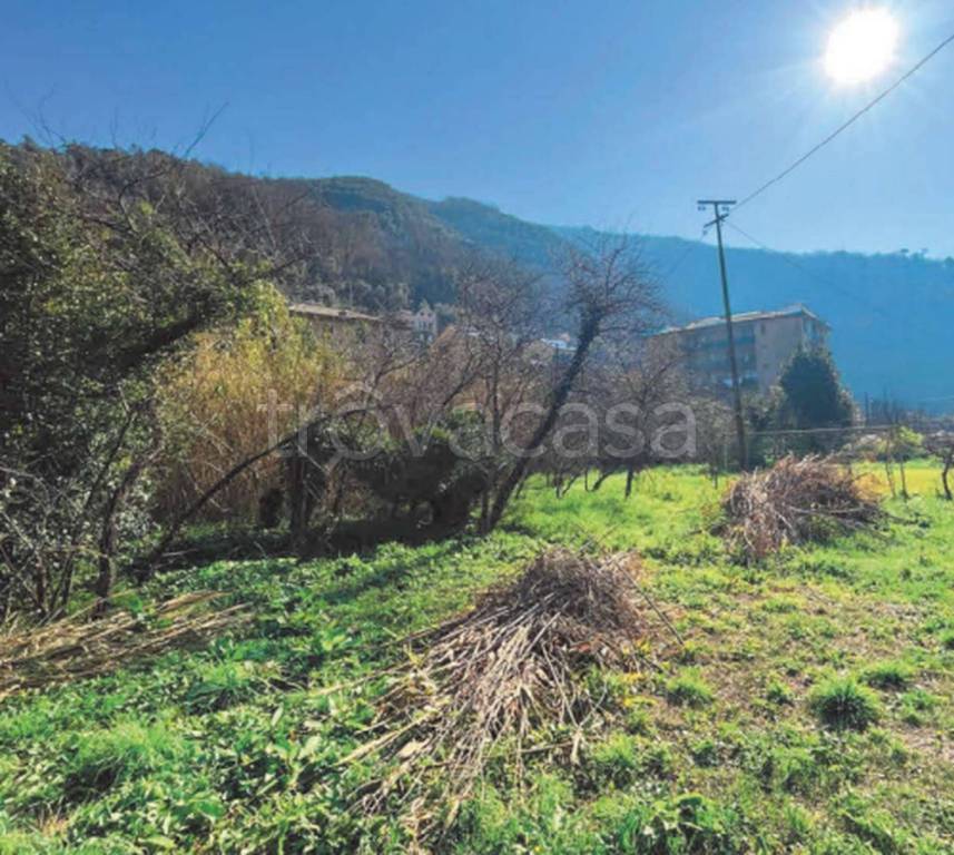 immagine annuncio 7 di 9