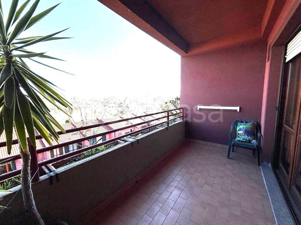 immagine annuncio 6 di 15