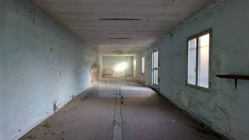 immagine annuncio 8 di 12