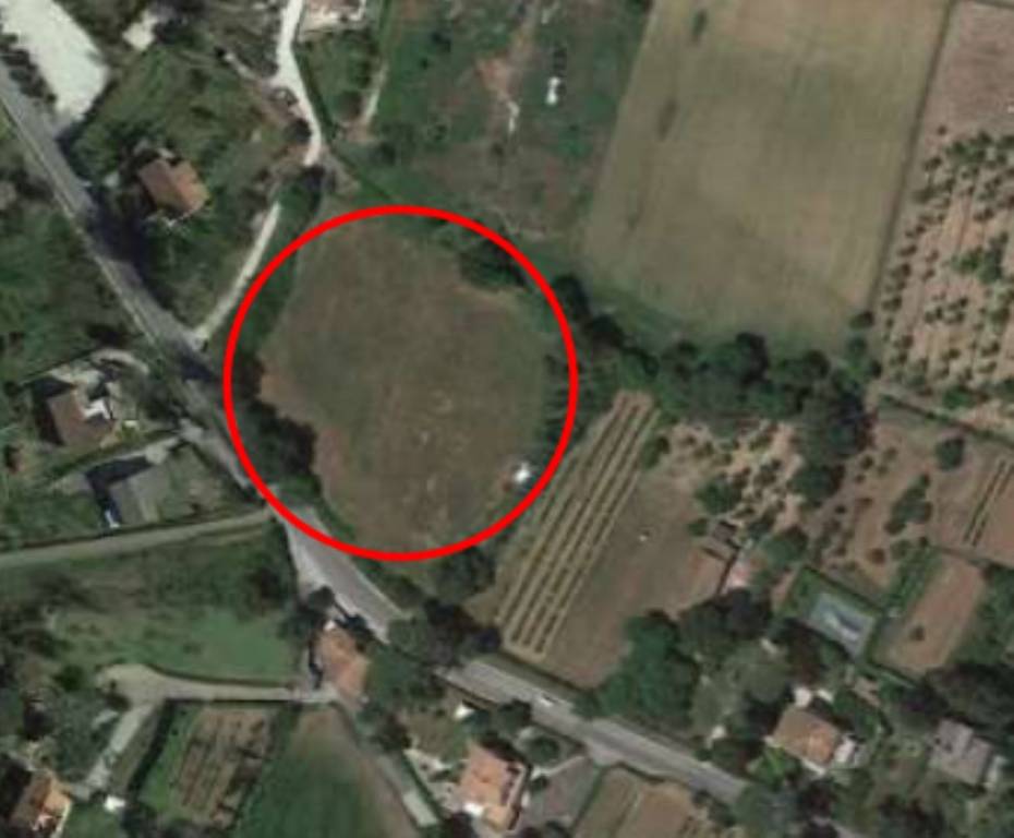 immagine annuncio 5 di 6