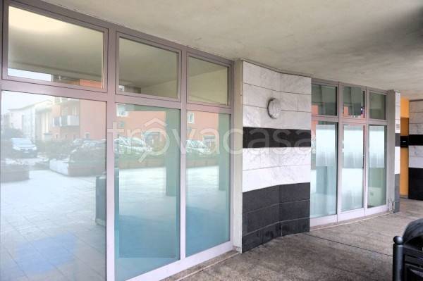 immagine annuncio 3 di 14