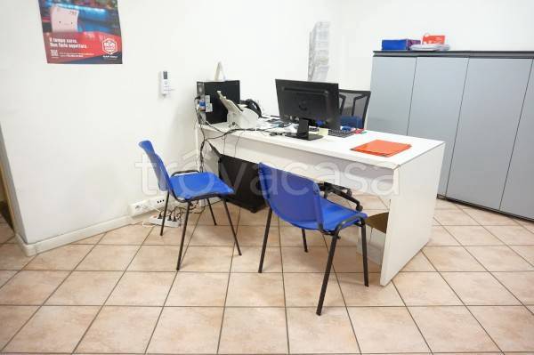 immagine annuncio 4 di 14