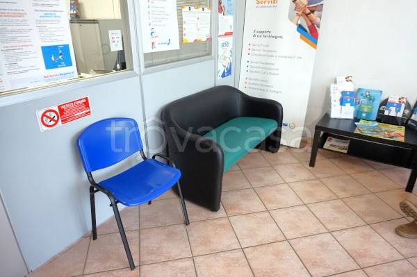 immagine annuncio 9 di 14