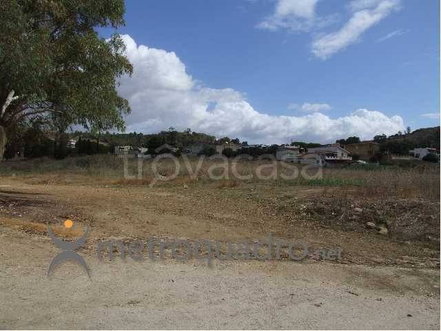 immagine annuncio 4 di 8