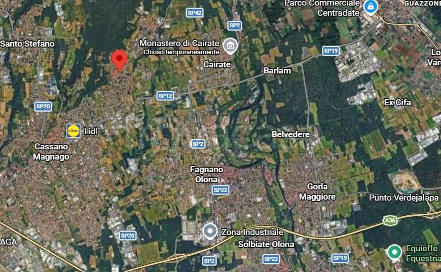 immagine annuncio 7 di 15