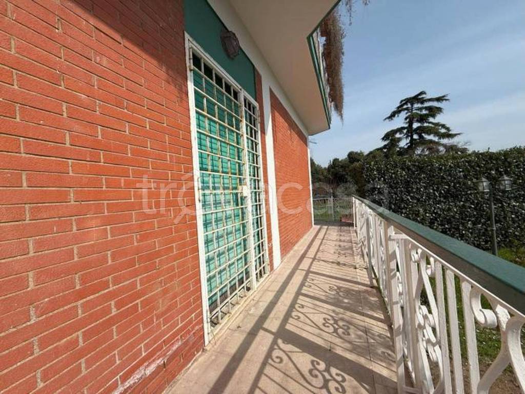 immagine annuncio 9 di 12