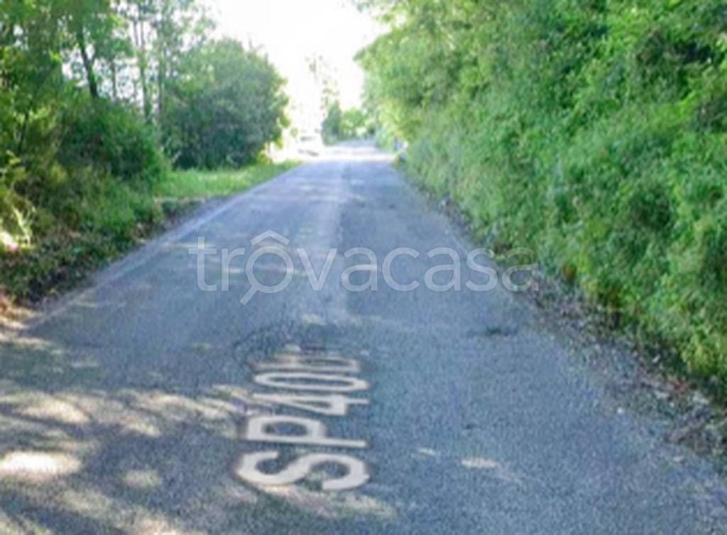 immagine annuncio 3 di 11