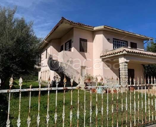 immagine annuncio 3 di 9