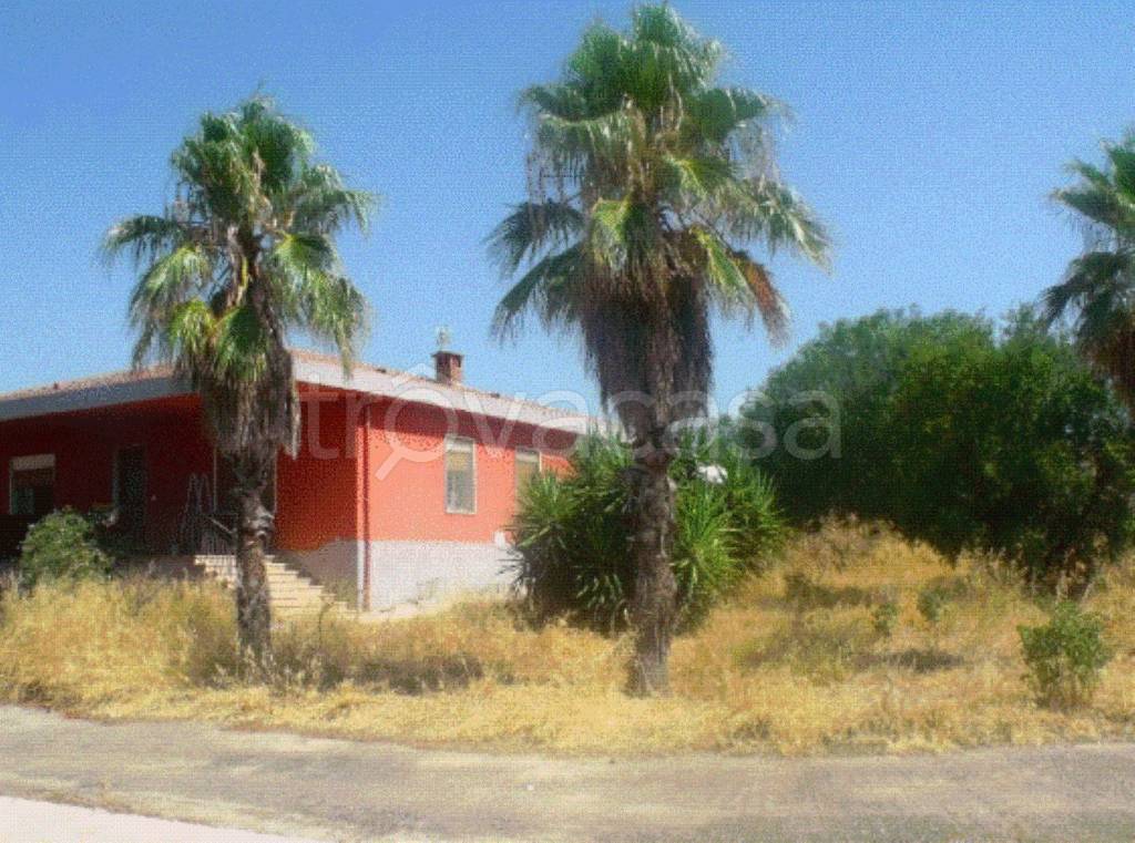 immagine annuncio 10 di 11