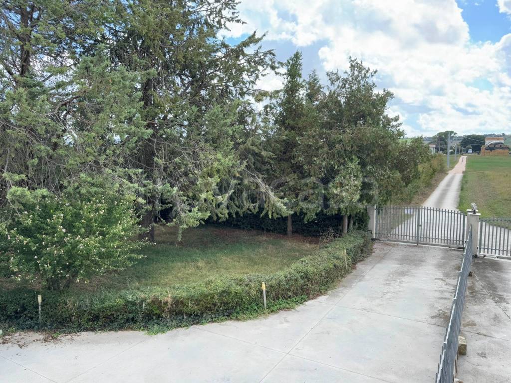 immagine annuncio 5 di 12