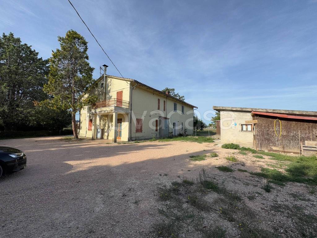 immagine annuncio 6 di 12