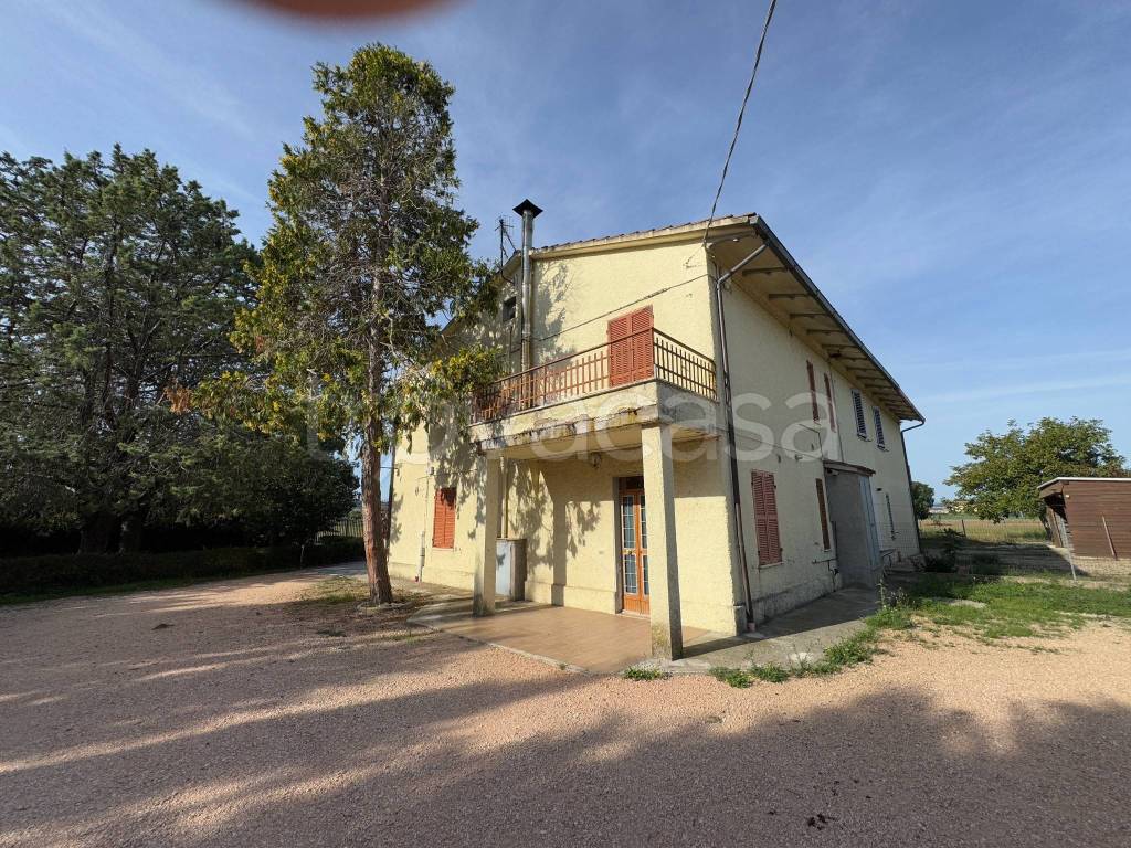 immagine annuncio 7 di 12