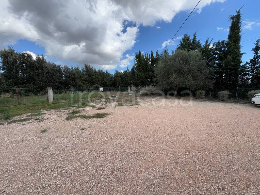 immagine annuncio 10 di 12