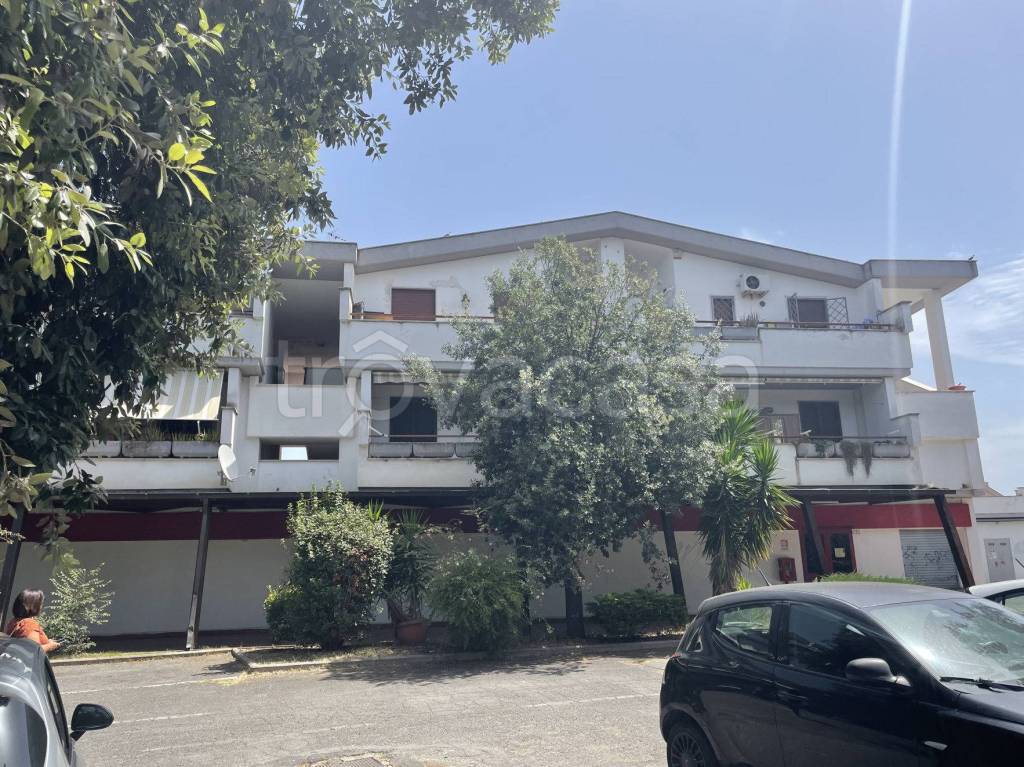 immagine annuncio 5 di 10