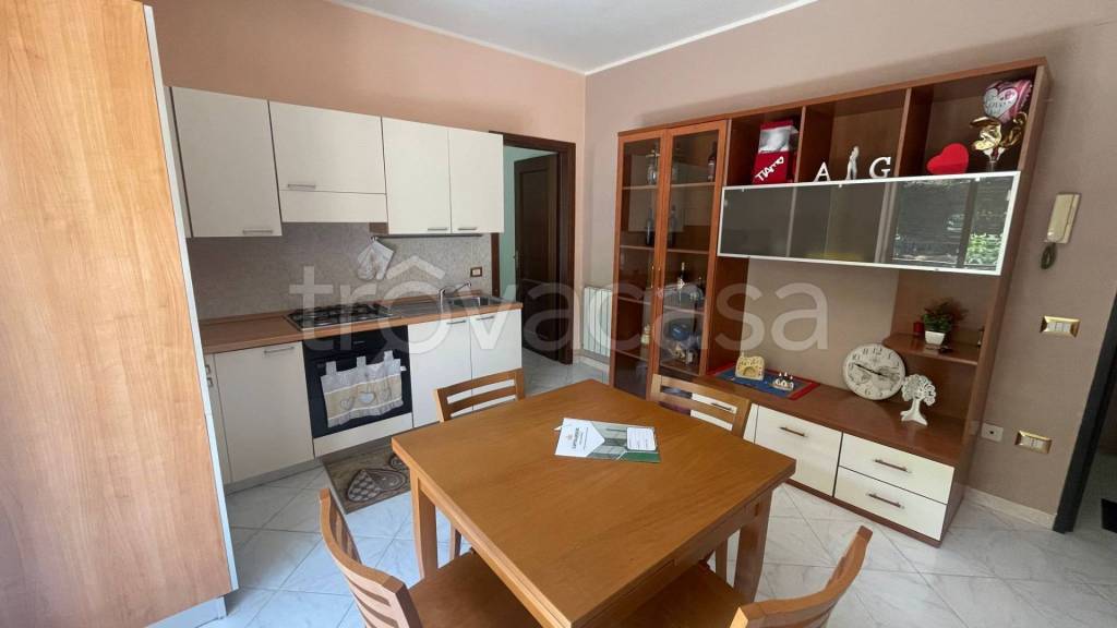 immagine annuncio 3 di 12