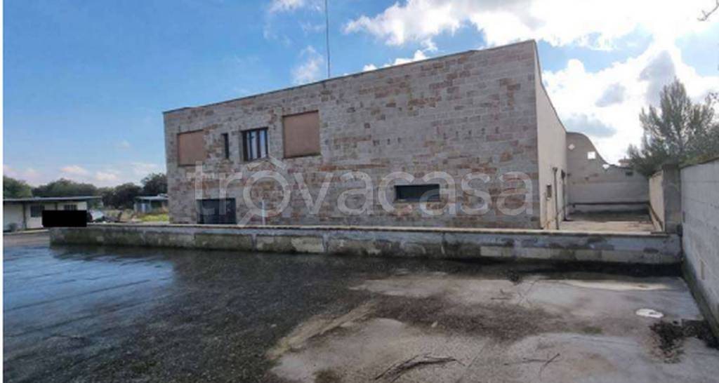 immagine annuncio 4 di 12