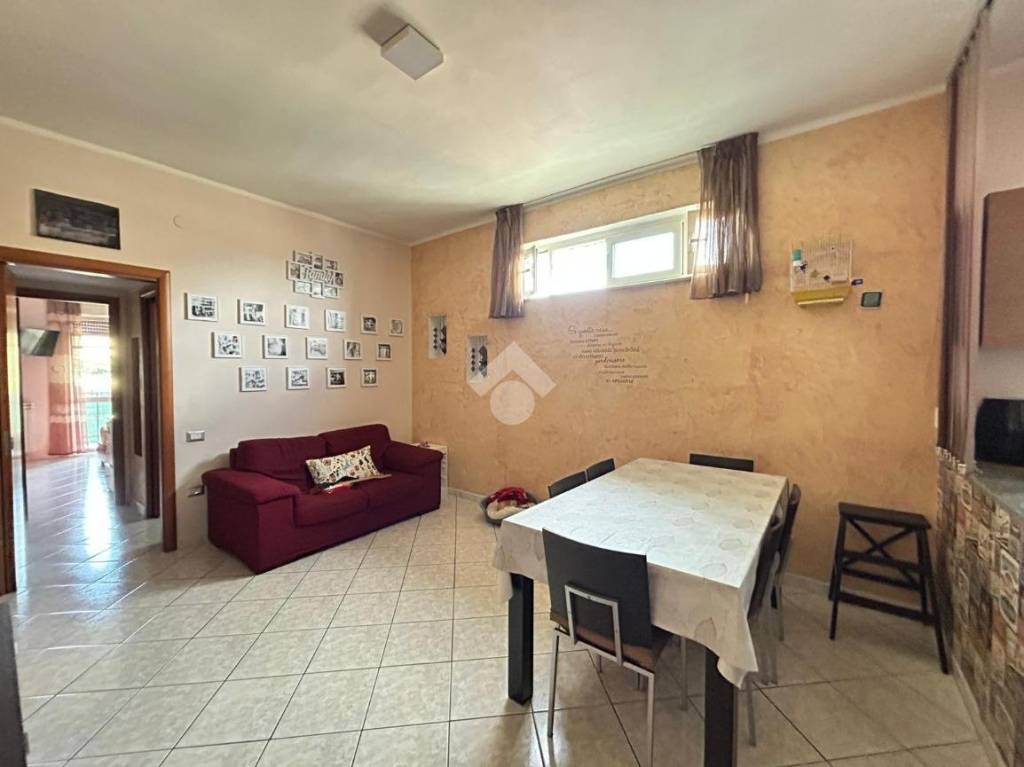 immagine annuncio 3 di 14