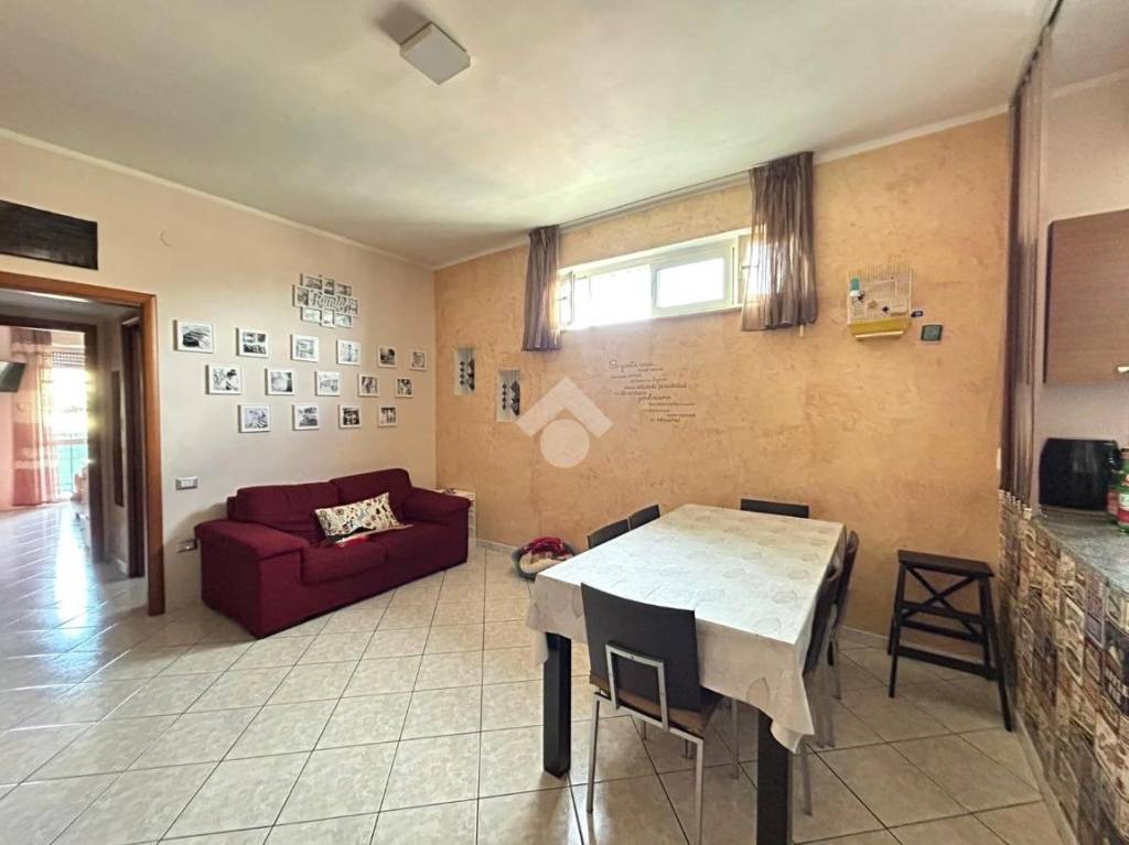 immagine annuncio 4 di 14