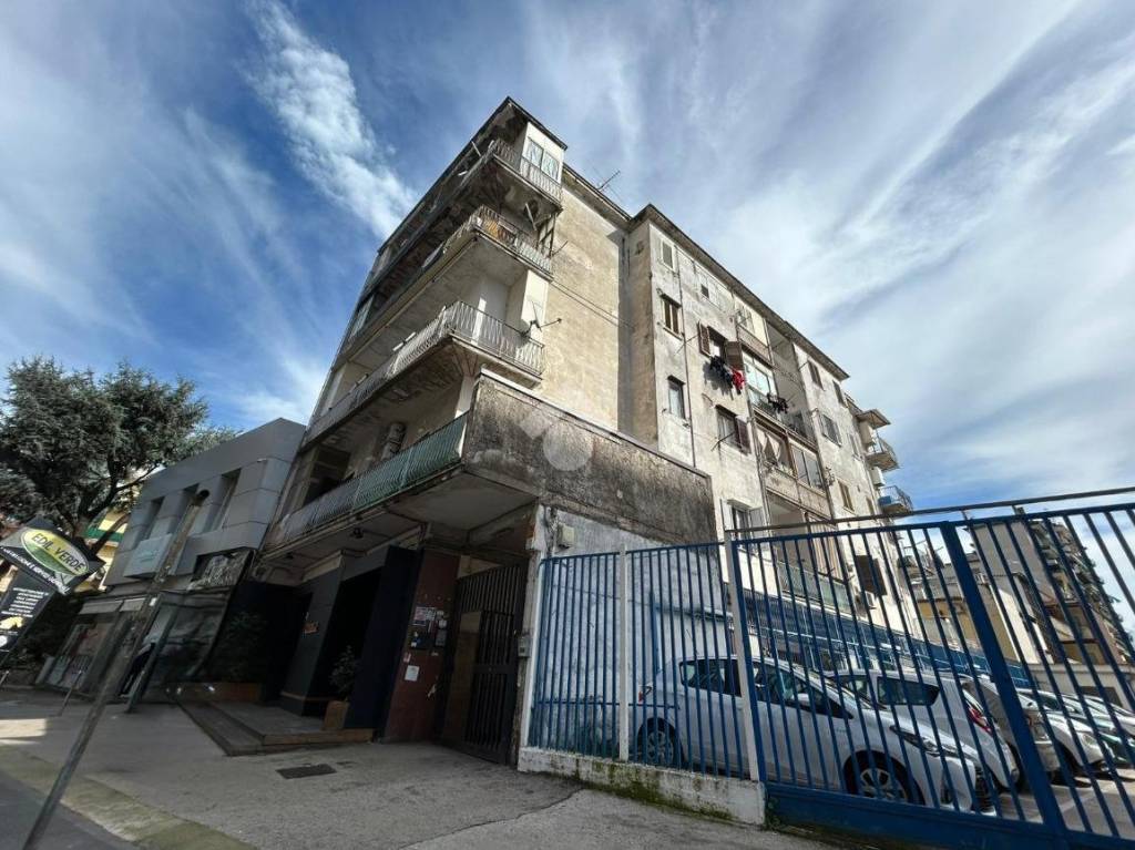 immagine annuncio 6 di 14