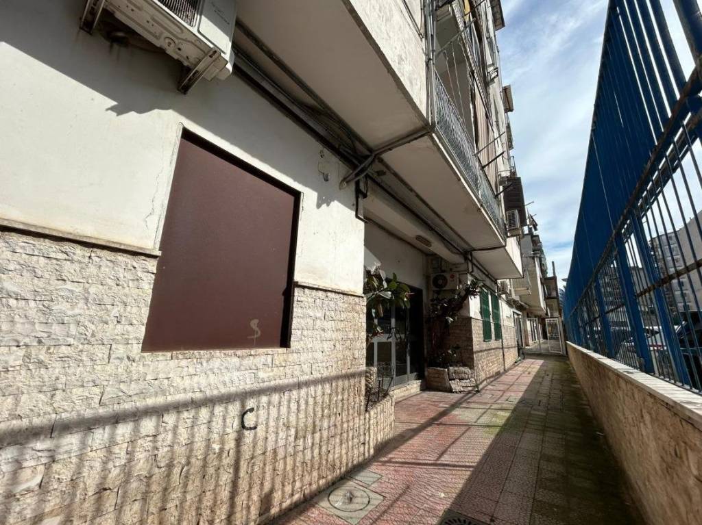 immagine annuncio 9 di 14