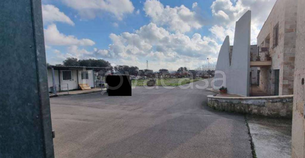 immagine annuncio 5 di 12