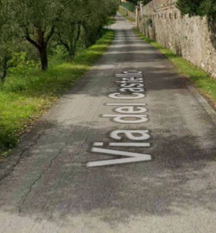 immagine annuncio 1 di 13