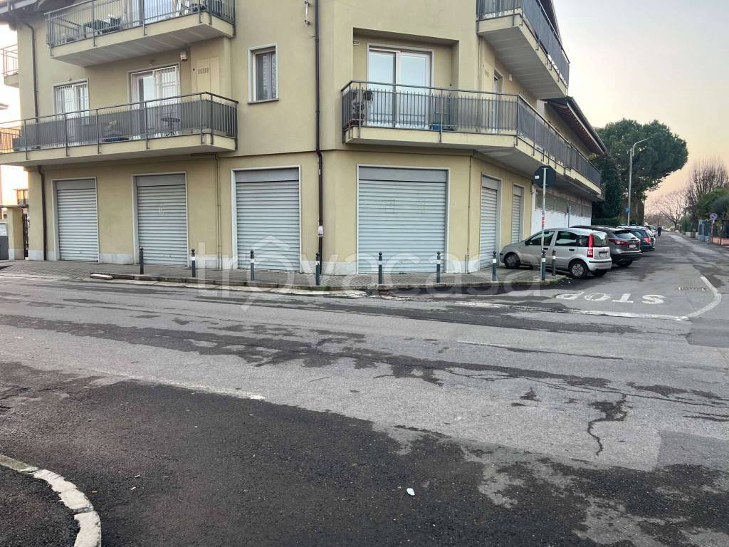 immagine annuncio 1 di 13