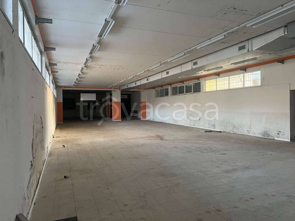 immagine annuncio 4 di 13