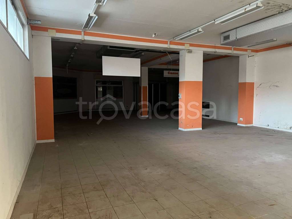 immagine annuncio 6 di 13