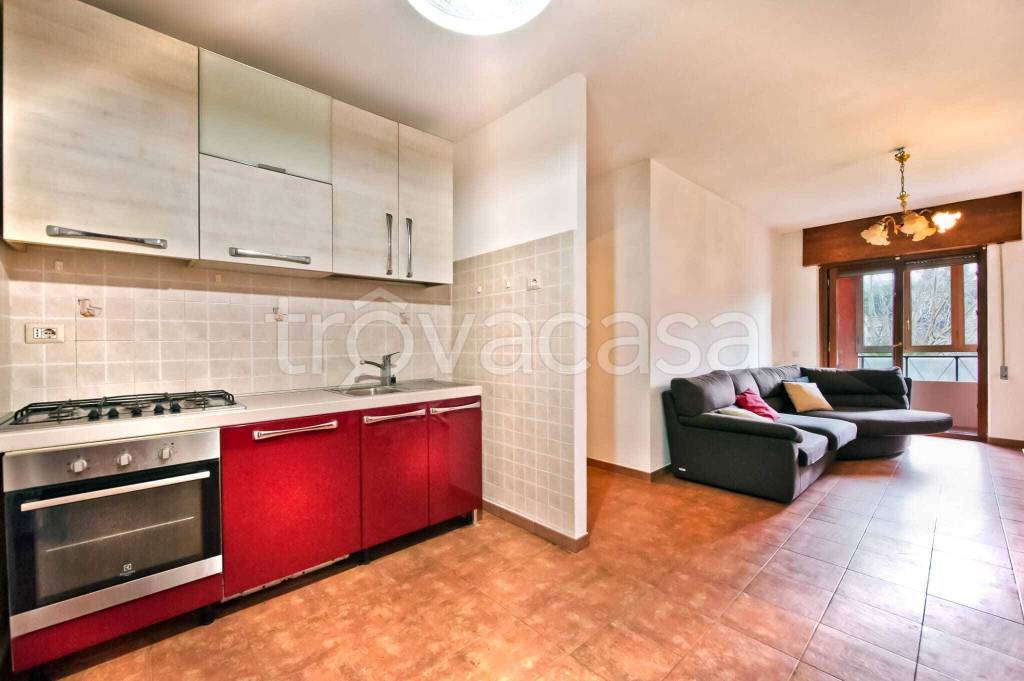 immagine annuncio 2 di 14