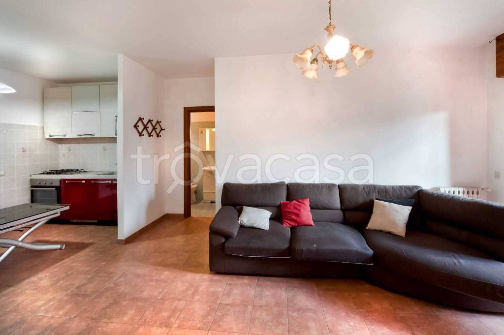 immagine annuncio 3 di 14