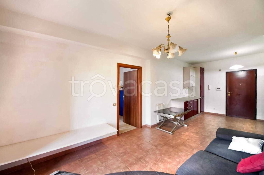 immagine annuncio 6 di 14