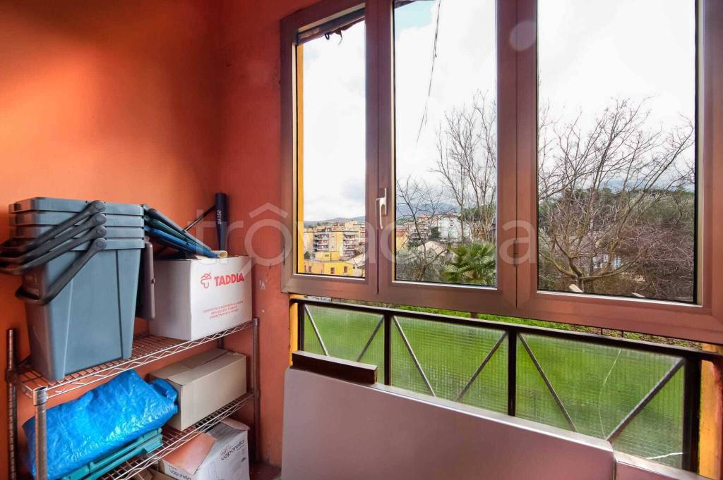 immagine annuncio 10 di 14