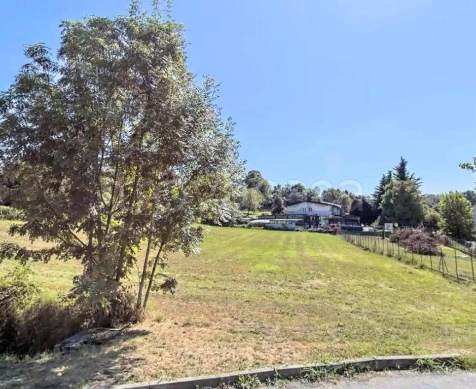 immagine annuncio 5 di 7