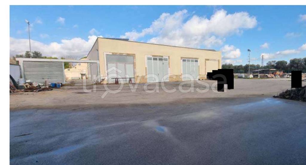 immagine annuncio 11 di 12