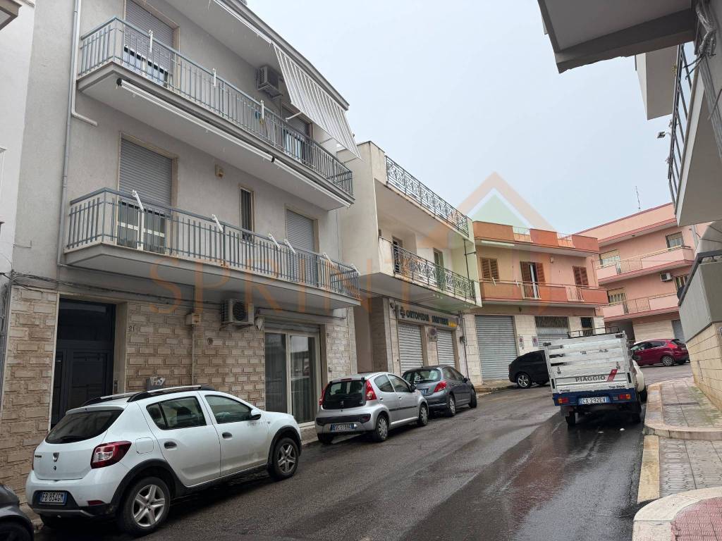 immagine annuncio 2 di 7