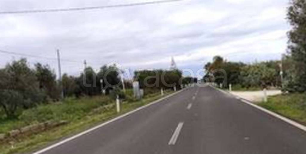 immagine annuncio 10 di 12