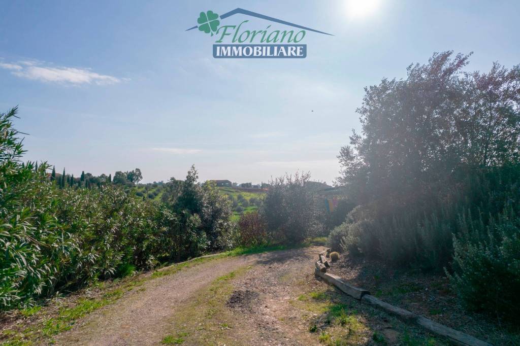 immagine annuncio 10 di 13