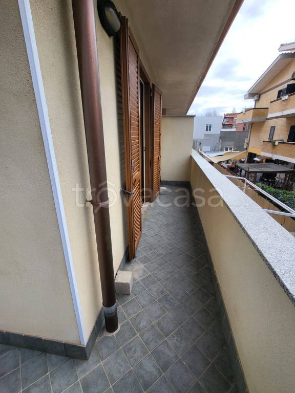 immagine annuncio 9 di 14